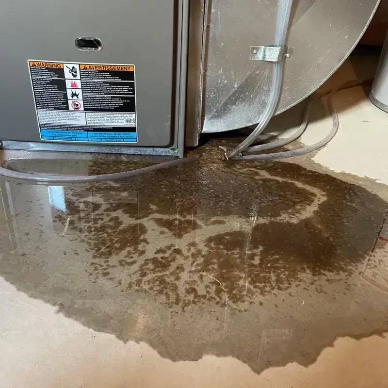 Appliance Leak Cleanup in Tupelo, MS